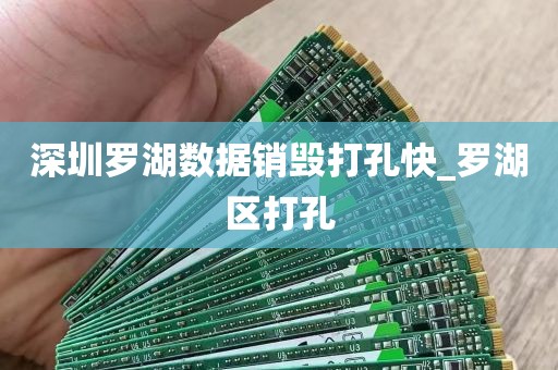 深圳罗湖数据销毁打孔快_罗湖区打孔