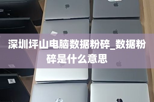 深圳坪山电脑数据粉碎_数据粉碎是什么意思