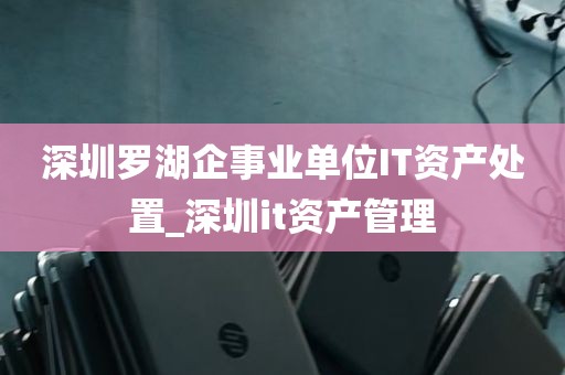 深圳罗湖企事业单位IT资产处置_深圳it资产管理
